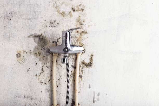 Best Mold Testing  in Bluffdale, UT