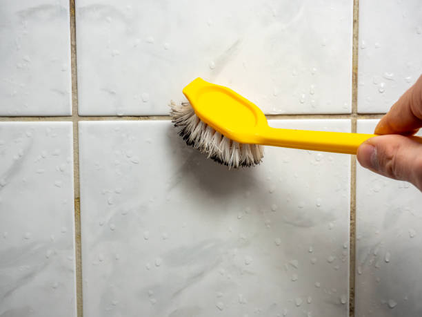 Best Mold Removal Near Me  in Bluffdale, UT