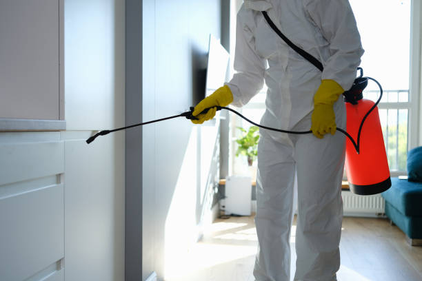 Bluffdale, UT Mold Removal Company