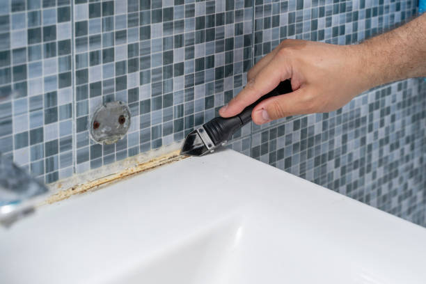 Best Professional Mold Removal  in Bluffdale, UT