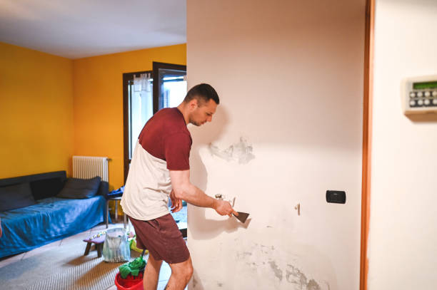 Best Best Mold Removal Companies  in Bluffdale, UT